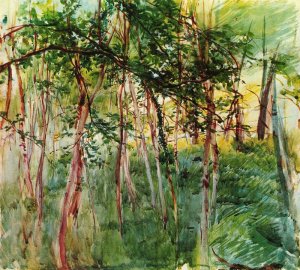 Trees in the Bois de Boulogne